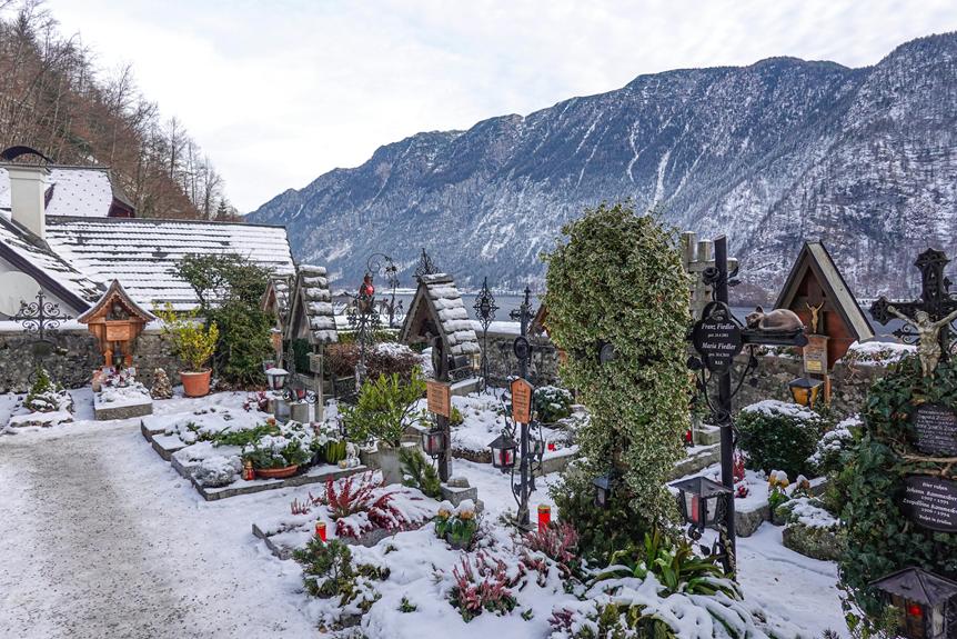 winter plant protection guide
